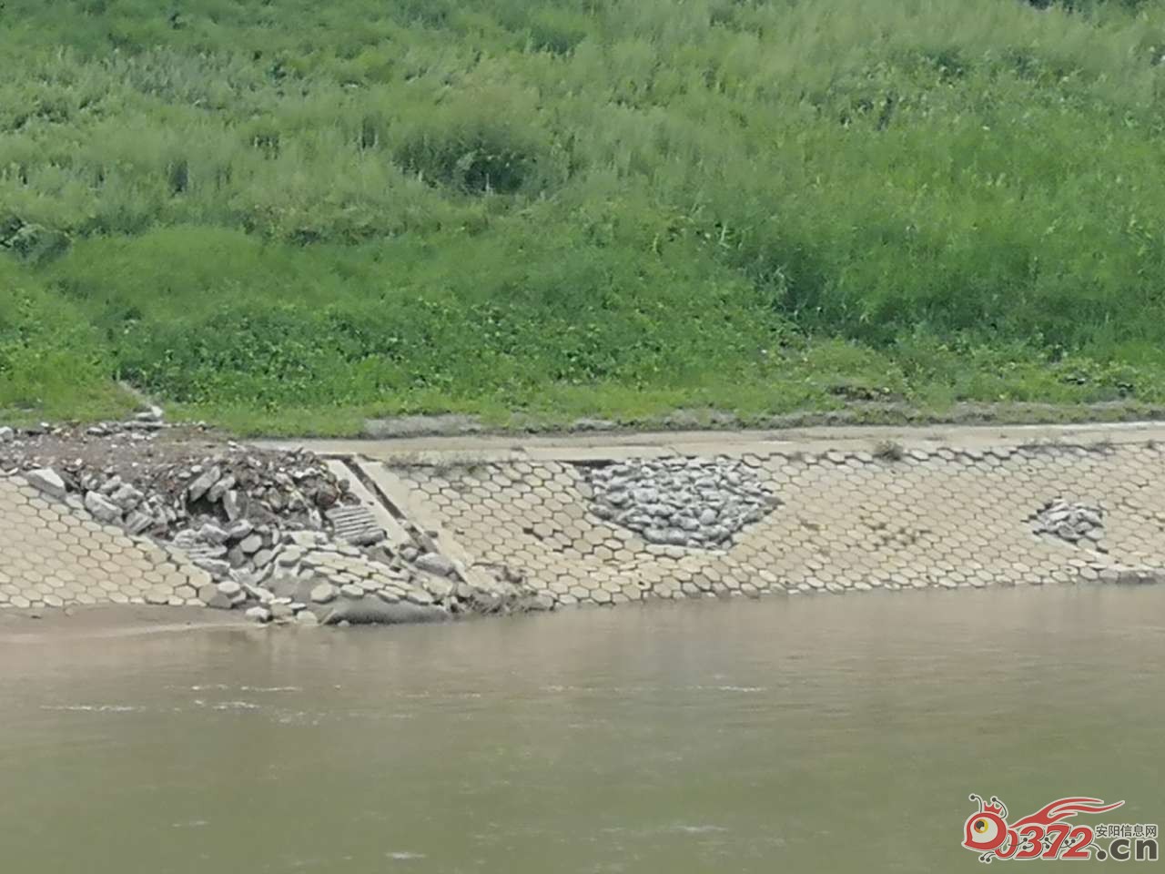 汛期过后,河堤清理,修缮正当时