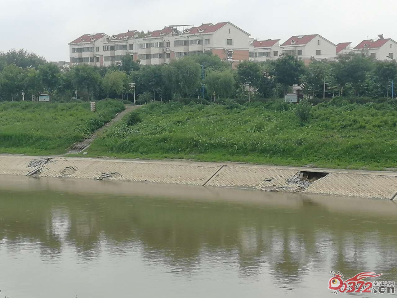 汛期过后,河堤清理,修缮正当时